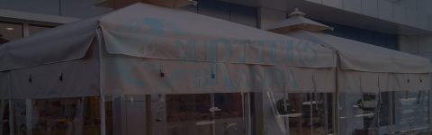 ŞEFFAF BRANDA KIŞ BAHÇESİ